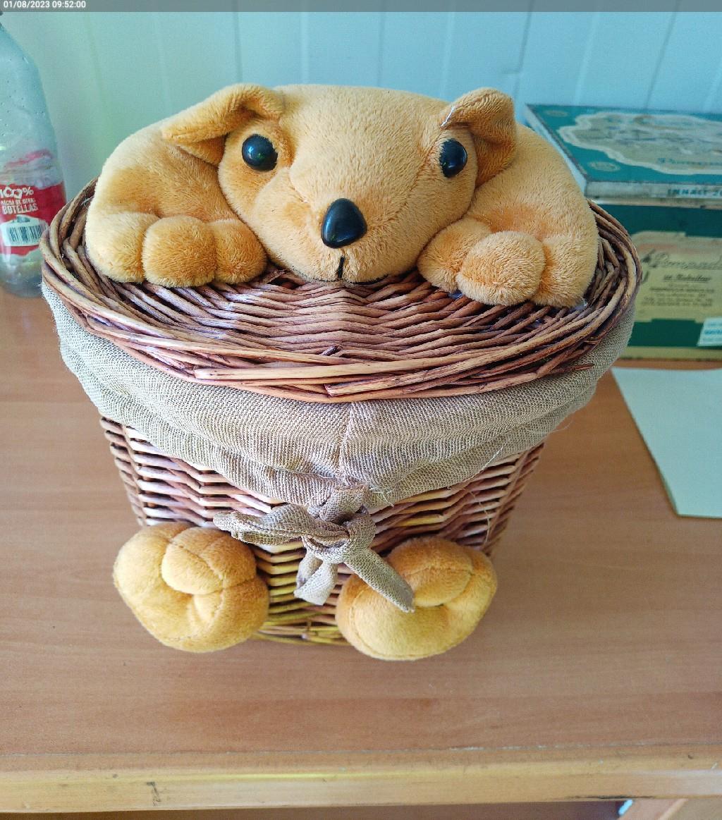 Cesta osito